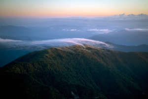 _mg_2995.jpg