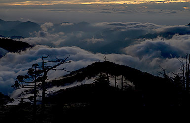 _mg_393589_8ac.jpg
