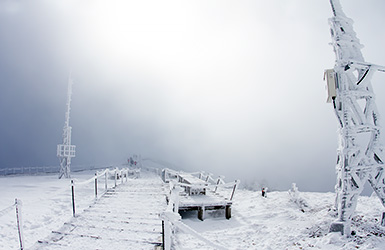 _mg_8263.jpg